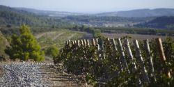 Week-end sur la route des vins de Corbières